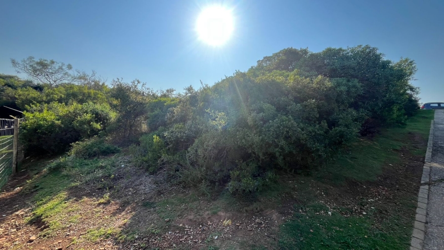  Bedroom Property for Sale in Noorsekloof Eastern Cape